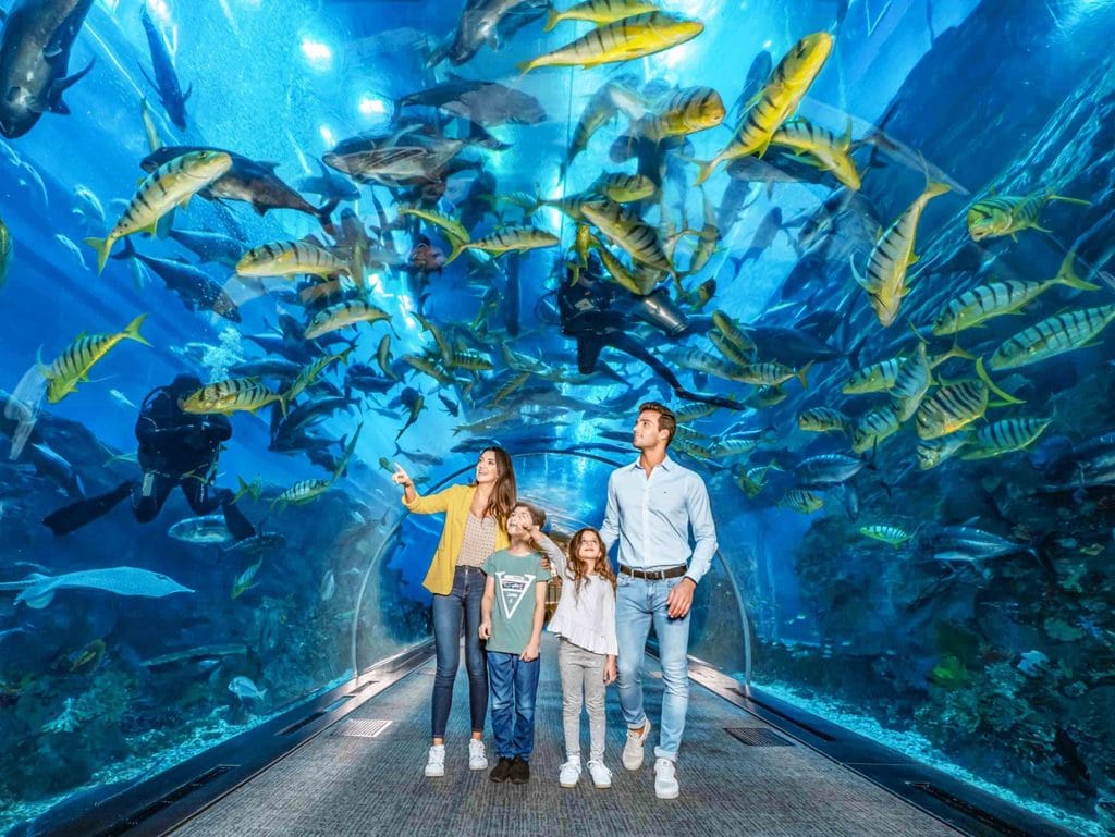 Urlaub in Dubai - Dubai Aquarium3