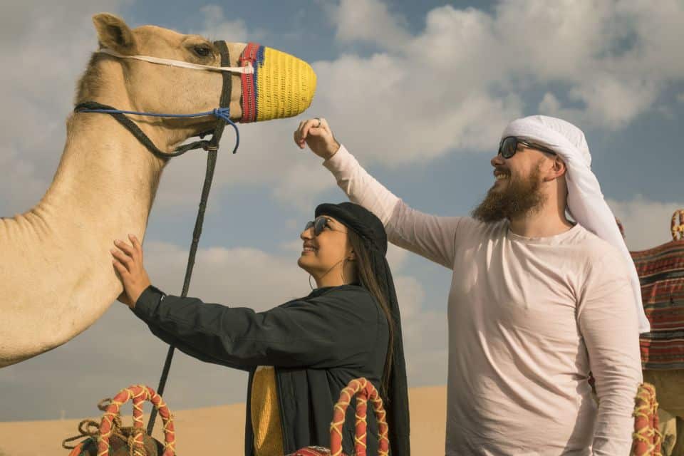 Kamele reiten in Dubai Kamelsafari in Dubai